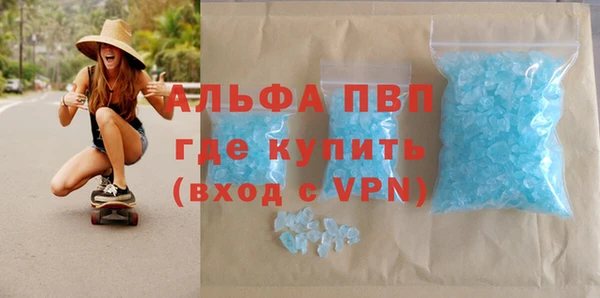 сатива Алзамай