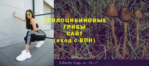 ALPHA-PVP Алексеевка