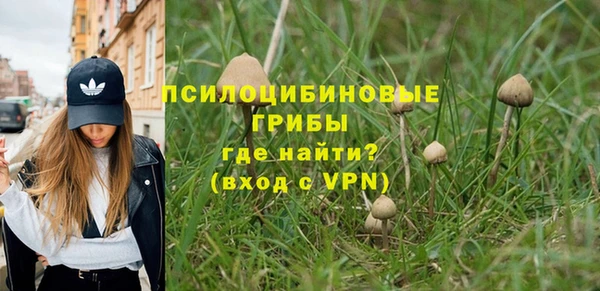 ALPHA-PVP Алексеевка