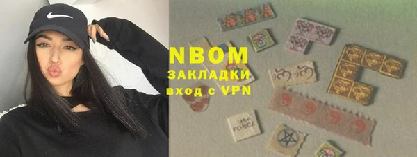 сатива Алзамай